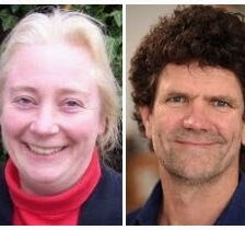 Online-Supervision zur erfolgreichen Akupunkturbehandlung